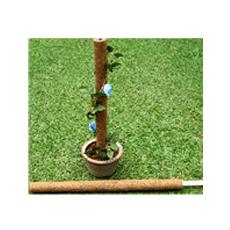 Agricultural Purpose Coco Poles