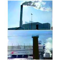 Industrial Non Polluting Incinerator