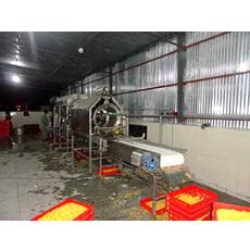 Sweet Corn Processing Equipment