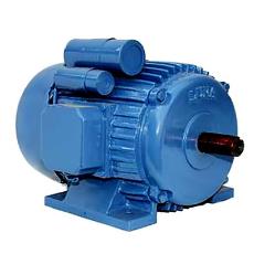 Industrial Grade Induction Motor