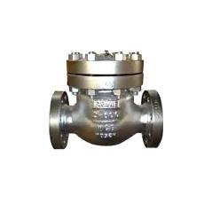 Industrial Jacketed Check Valves