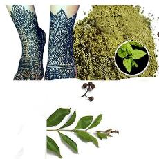 Olive Green Henna Powder