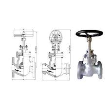 Cast Steel Globe Valve