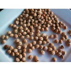 Nutritious White/ Roasted Chickpeas