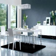 Modern Luxury Dining Set