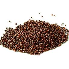 Natural Pure Mustard Seeds