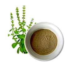 Hygienically Packed Tulsi Powder