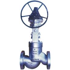 Cast Steel Globe Valve