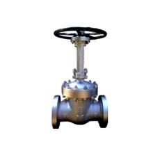 Cast Steel Gate Valve