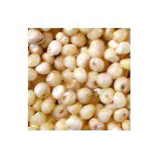 Nutrition Enriched Millet Seeds