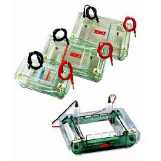 Horizontal Electrophoresis For Laboratory