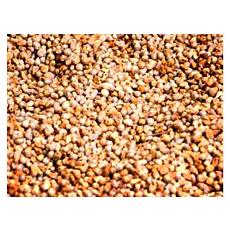 Vitamin B Enriched Whole Millet