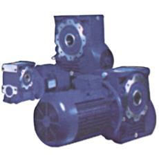 Worm Gearmotors