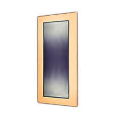 Glass/ Pvc Coated Bathroom Door