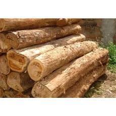 Industrial Purpose Teak Wood Logs