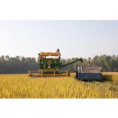 Agricultural Purpose Combine Harvester