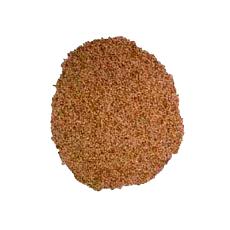 Fine Aromatic Dhaniya Powder