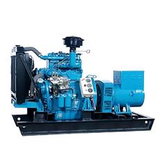 Diesel Generating Set With Electrical Starting Facility