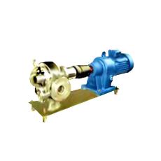 Gear Pump With Mechanical Seals