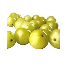 Amla Fruit With Medical Values