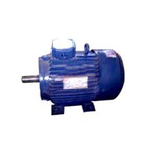 Industrial Grade Induction Motor