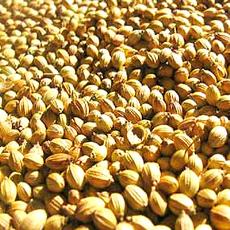 Organic Whole Coriander Seeds