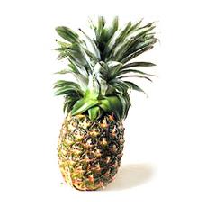 Hygienically Packed Fresh Pineapple