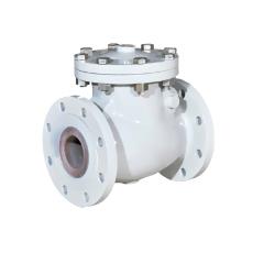 Swing Type Check Valve