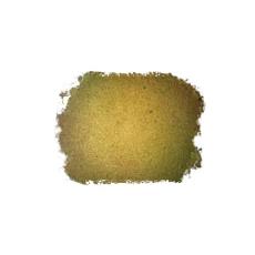 Cassia Tora Seed Powder