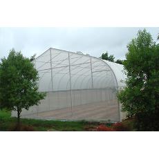 Transparent Anti Insect Net