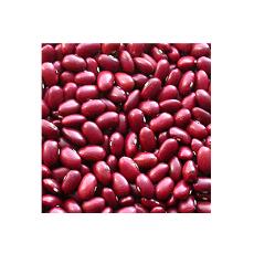 Fresh Red Kidney Beans