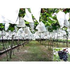 Non-Woven Fruit Covering Fabric