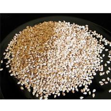 Nutrition Enriched Sesame Seeds