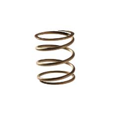 Corrosion Resistant Compression Springs