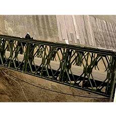 Steel Made Panel Bridge