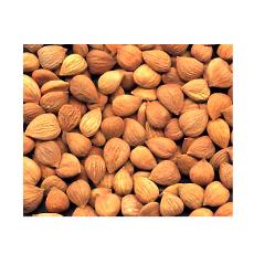 Hygienically Packed Apricot Kernels