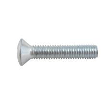 Corrosion Resistant Oval Head Screws