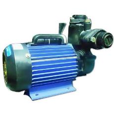 Industrial Grade Monoblock Pumps