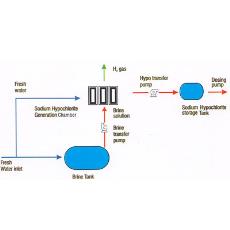 Electrochlorination Systems For Water