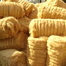 Natural Coir Fibre In Roll Form