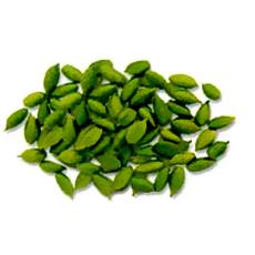 Hygienically Packed Fresh Cardamom