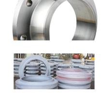 Rolled & Forged Flanges