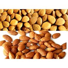 Hygienically Packed Shelled Almonds