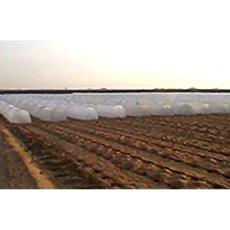 Disposable Agriculture Crop Covers