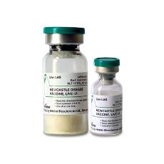 Newcastle Disease Vaccine For Poultry Animals