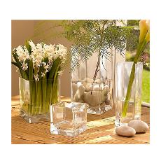 Designer Glass Flower Vases