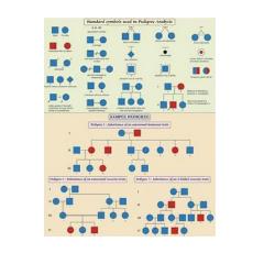 Genetic Pedigree Analysis Chart