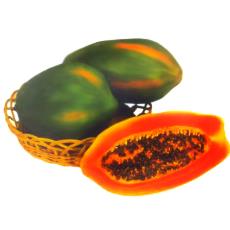 Hygienically Packed Papaya Seeds