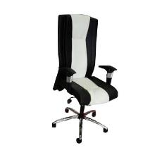 Executive Chairs With High Back