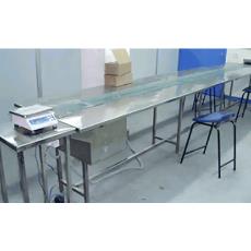 Industrial Belt Inspection Conveyor